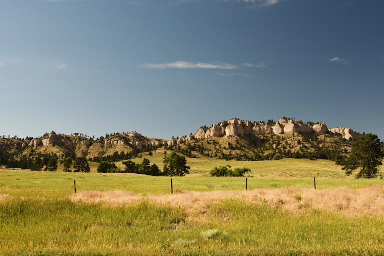 Explore the vibrant, rolling grasslands of North Dakota's Badlands under a clear blue sky.